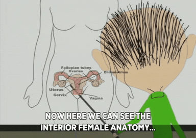 Mr. Mackey School GIF by South Park  - Find & Share on GIPHY