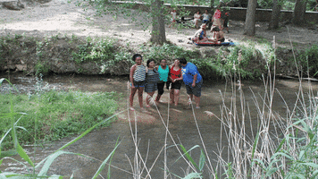 iebsegorbe rio GIF