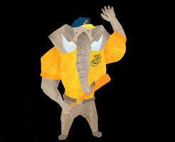 ahnpyw9nywkxmji5qhlhag9vlmnvbs50dw  GIF