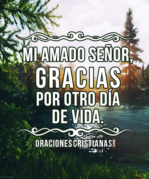 nomemires gracias dios GIF