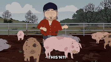 pig farm GIF by South Park 