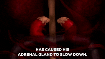 adrenal gland relaxing GIF by South Park 
