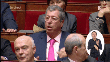 patrick balkany GIF by franceinfo