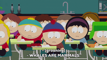 stating eric cartman GIF by South Park 