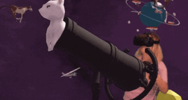 kitten cannon GIF by Product Hunt