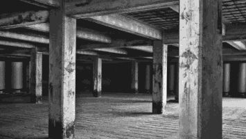 owedu #paulinamoneta #keying #dance #choreography #space #dancer #gesture #figure #pose #staging GIF