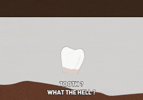 teeth find GIF by South Park 