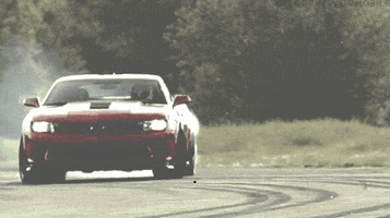 marlanoriega acelerar GIF