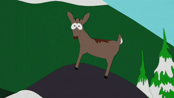 deer GIF by South Park 