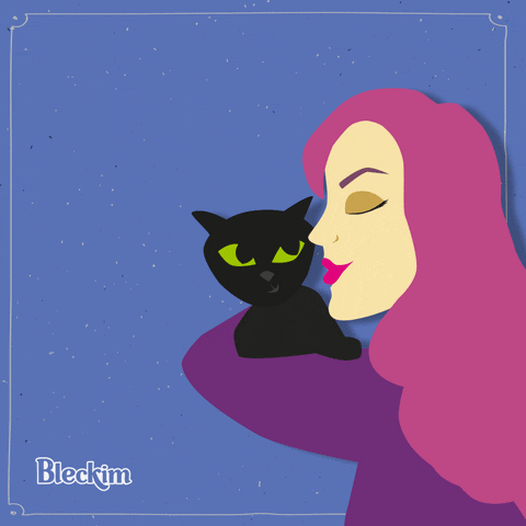 bleckim amor cats gatos GIF