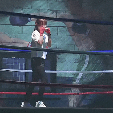 noc  GIF