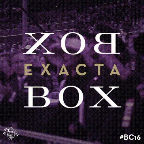 Breeders Cup GIF by CTPBoston