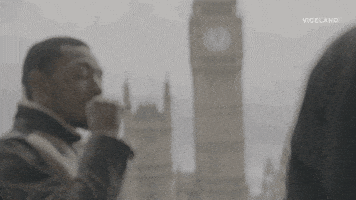 viceland GIF by WEEDIQUETTE