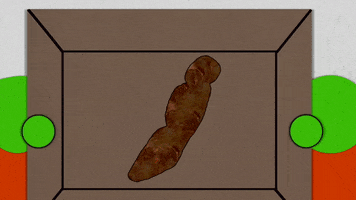 poop feces GIF by South Park