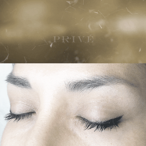 tatjanadamjanovic  GIF