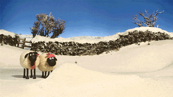 awesome stop motion GIF by Aardman Animations