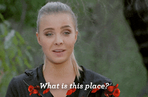 what GIF by The Bachelor Australia