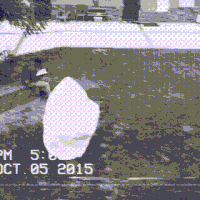 200.gif?cid=fc005b0869aecd53b9cc769fe380a4d524d21f28f81d4db8&rid=200.gif&ct=g