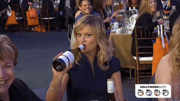 amy poehler isa GIF by Hollywood Suite