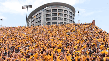 Iowa Hawkeyes Football GIF by University of Iowa Hawkeyes Athletics Iowa Hawkeyes Football GIF by University of Iowa Hawkeyes Athletics