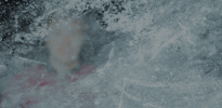 Blair Jones #Koelnerhaie #Del #Torschuetze GIF by Kölner Haie