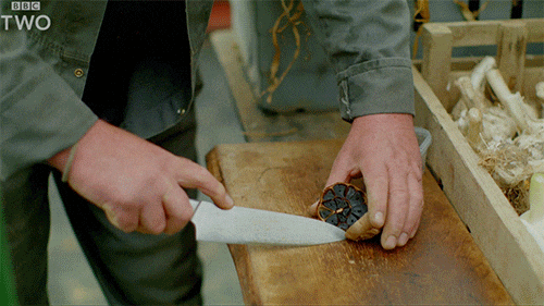 The Interesting Magickal Properties of Garlic 7 black garlic gif