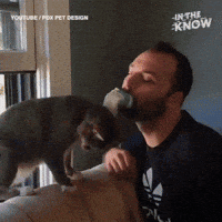 200w.gif?cid=ecf05e47hxdyr0p2wvmh7novp8w