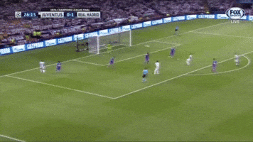 wesport  GIF