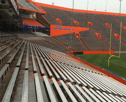 ben hill griffin stadium football GIF by University of Florida