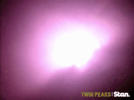 twin peaks GIF by Stan.