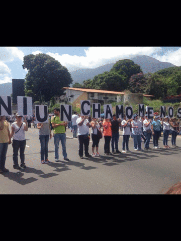 traficovisual  GIF
