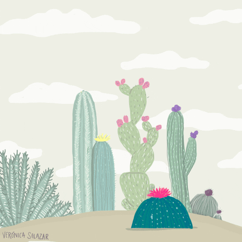 Illustration Desert GIF by Verónica Salazar