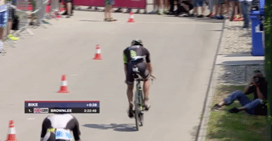 alexandretrimessaint-jalm kienle-sanders GIF