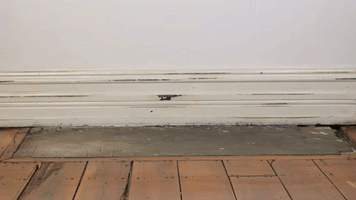 wedlock leather shoes GIF