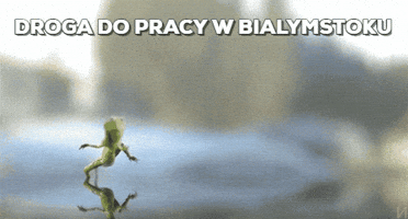 NBBIALYSTOK22  GIF