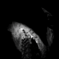 200.gif?cid=fc005b08bca0f25f09c0a4d525d14ef2a3c673c31e78e159&rid=200.gif&ct=g