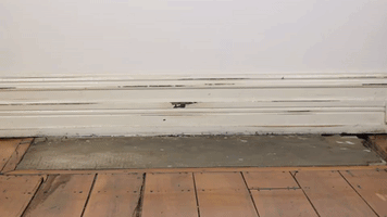 wedlock leather shoes GIF