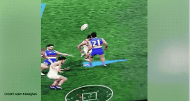 shannongrixti afl evolution GIF