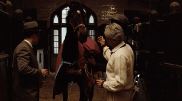 movie horse the godfather francis ford coppola gangster movie GIF