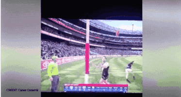 shannongrixti afl evolution GIF