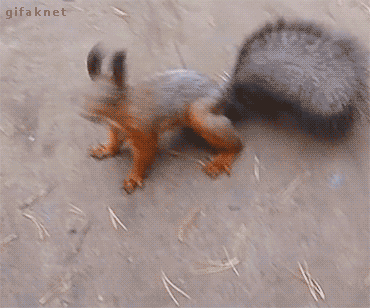 Bring It Reaction GIF by reactionseditor - Find & Share on GIPHY