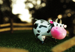 excited cow GIF by Pablo Lopez
