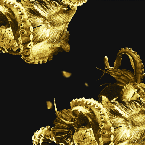 enricovivadio ur GIF