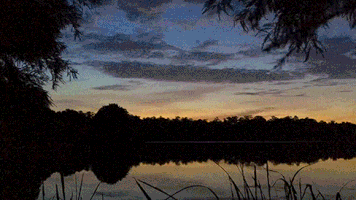 sunrise uf GIF by University of Florida