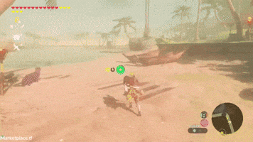 nintendoswitch zelda switch zelda-botw legend-zelda-breath-wild GIF