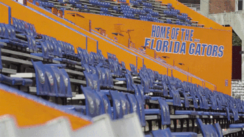college football gators GIF by University of Florida