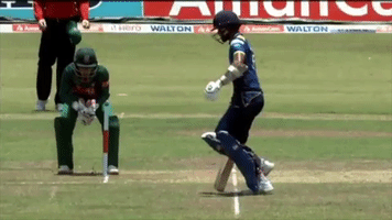 DailySocial chandimal run out sl vs ban GIF