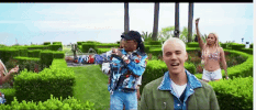 mrosewillettgmailcom  GIF