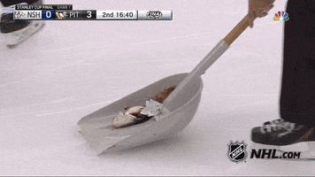 dead fish hockey GIF by NHL
