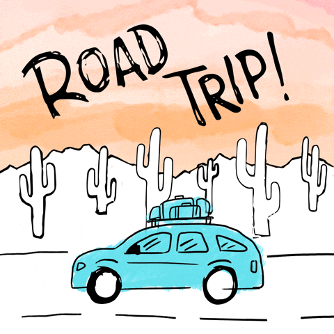 road trip summer GIF by @SummerBreak